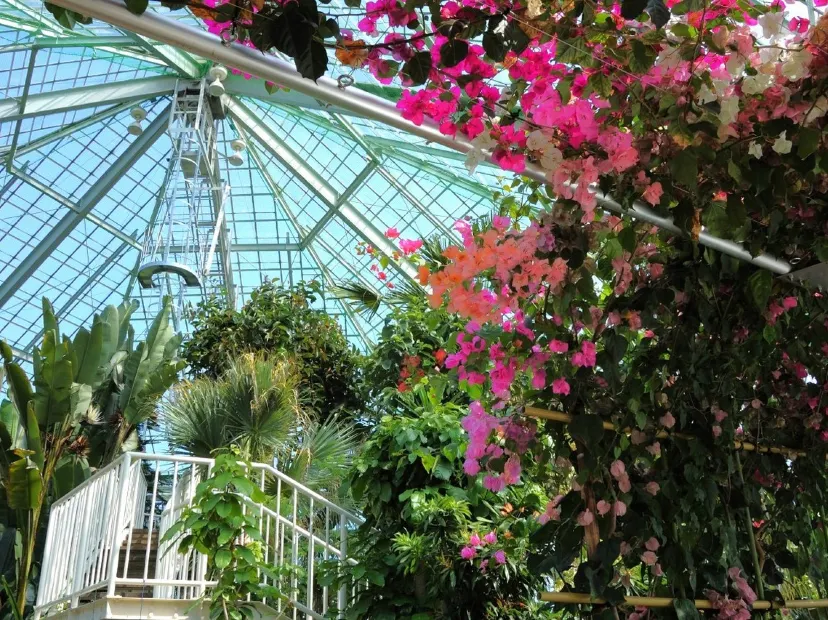 函館熱帶植物園