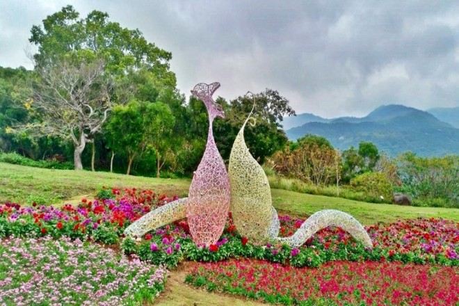 台北花季花IN台北