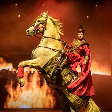  《玩轉五大樂園》「廣州動物園」+「融創樂園」+「融創國際大馬戲奇幻秘境」+「正佳極地海洋世界」+「佛山千古情」連續2晚入住廣州祺嶺嶺南東方酒店 廣州樂園純玩3天團