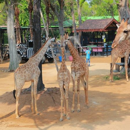 曼谷+大城 5天小團遊  **同行優惠，最高減$2300**《2人或以上報名適用‧ 獨立出發‧純玩團‧免收旅行團服務費‧不設購物點》