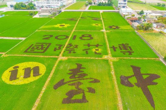 2018台中世界花卉博覽會