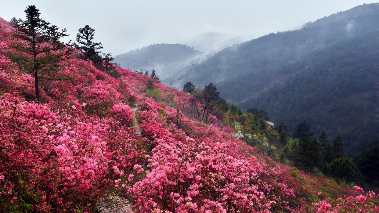 木蘭雲霧山