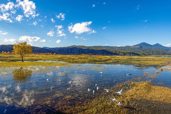 拉市海國家濕地公園