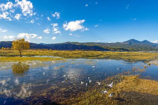 拉市海國家濕地公園