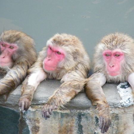 北海道、函館 3大冬季限定祭典。冬日玩樂6天之旅  *周末大激賞每位勁減-$800 推廣碼【WE459】 小樽運河～Illumination藍色運河燈節、洞爺湖Illumination Tunnel