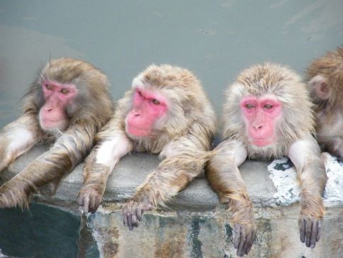 北海道、函館 3大冬季限定祭典。冬日玩樂6天之旅   小樽運河～Illumination藍色運河燈節、洞爺湖Illumination Tunnel、「日本三大夜景之一」函館山百萬夜景