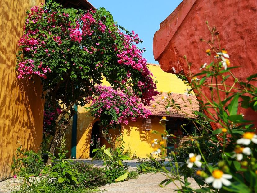 網紅推介~ REU越式Fusion菜