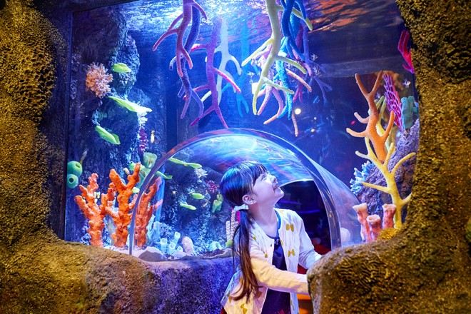 Sea Life 海洋探索中心