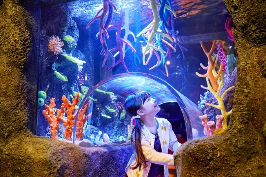 Sea Life 海洋探索中心