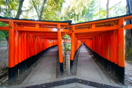 伏見稻荷大社～千本鳥居