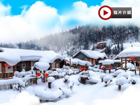 雪鄉、長白山、哈爾濱東北浪漫雪景+溫泉8天純玩之旅 童話雪世界~雪鄉、關東第一名山~長白山(北坡、溫泉)、馬拉爬犁穿越白樺林、雪地長龍、冰雪十里畫廊雪松奇觀、潑水成冰、伏爾加莊園、冰雪大世界、長春