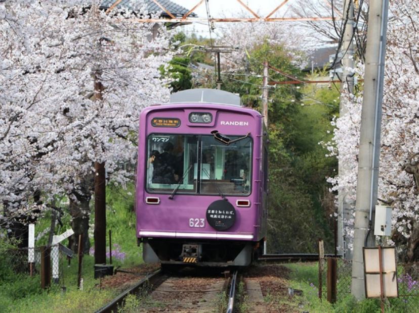 嵐電櫻花列車