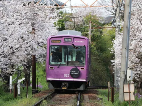 嵐電櫻花列車
