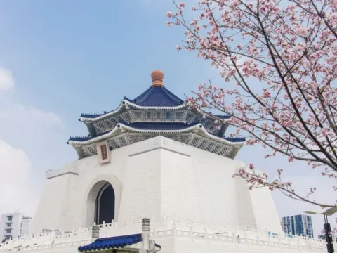 中正紀念堂櫻花