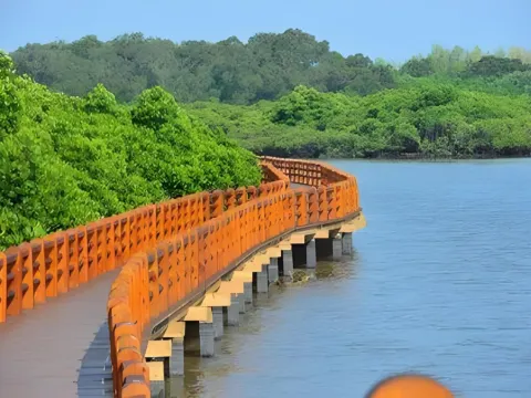 東寨港紅樹林濕地公園