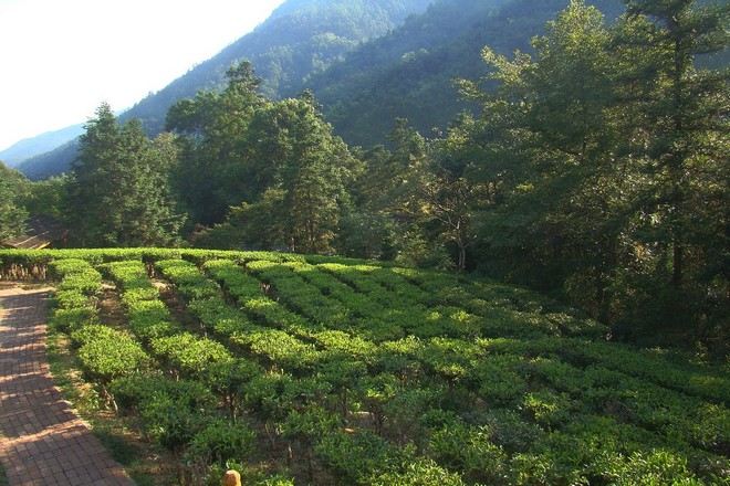 賀州姑婆山國家森林公園