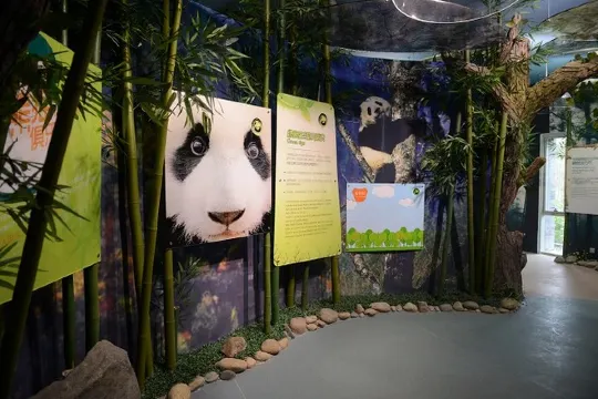 都江堰熊貓樂園