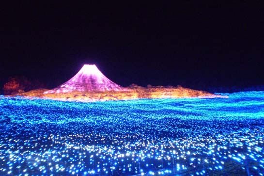 名花之里彩燈節