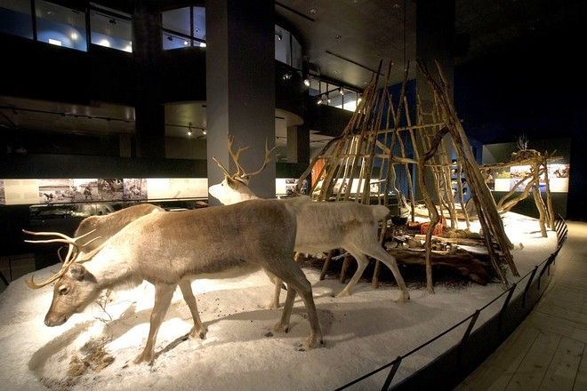 北極圈科學博物館