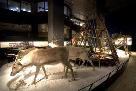 北極圈科學博物館