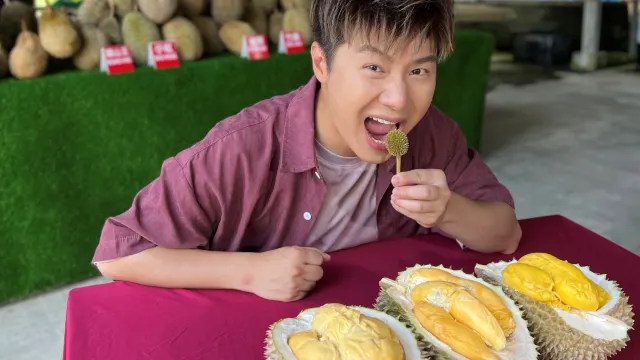 遊走榴槤山~各種名貴榴槤品種任食*