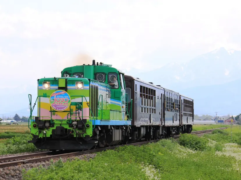 《夏日增遊》乘坐富良野Norokko 號薰衣草列車