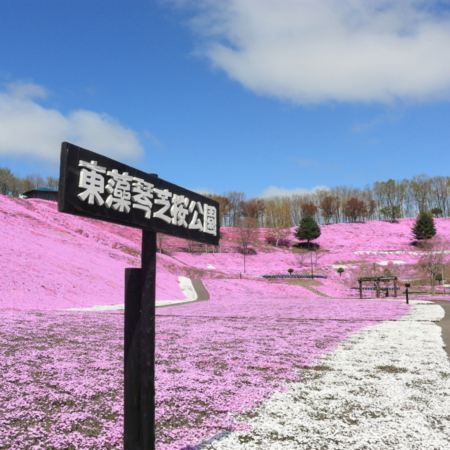 春の北海道 擁抱自然7天之旅   3晚露天風呂溫泉酒店、層雲峽(大雪山國立公園、夫妻瀑布)、「世界自然遺產」知床半島~知床瀑布、硫磺山、十勝牧羊の家~牧羊犬綿羊Show、池田葡萄酒城、屈斜路湖