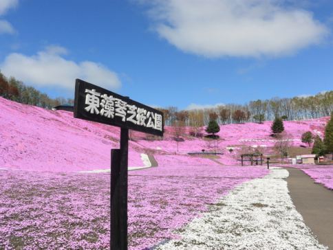 春の北海道 擁抱自然7天之旅   3晚露天風呂溫泉酒店、層雲峽(大雪山國立公園、夫妻瀑布)、「世界自然遺產」知床半島~知床瀑布、硫磺山、十勝牧羊の家~牧羊犬綿羊Show、池田葡萄酒城、屈斜路湖