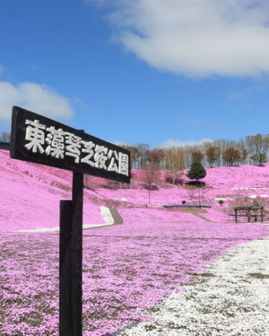 春の北海道 擁抱自然7天之旅 3晚露天風呂溫泉酒店、層雲峽(大雪山國立公園、夫妻瀑布)、「世界自然遺產」知床半島~知床瀑布、硫磺山、十勝牧羊の家~牧羊犬綿羊Show、池田葡萄酒城、屈斜路湖