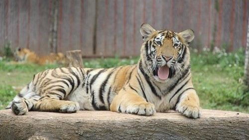 平南雄森動物大世界