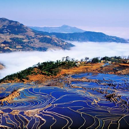 雲南梯田美景、賞花、溫泉8天純玩高鐵團  元陽梯田、多依樹梯田、壩達梯田、金雞嶺萬畝油菜花、圓通山賞海棠+櫻花、建水古城、百年米軌小火車、碧色寨、普者黑、九龍大瀑布、彌勒溫泉