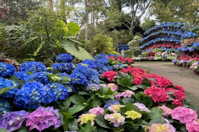 苗栗縣花露農場