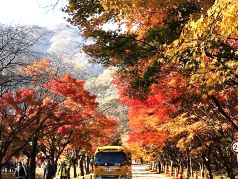 內藏山國立公園+內藏寺 來回Shuttle Bus