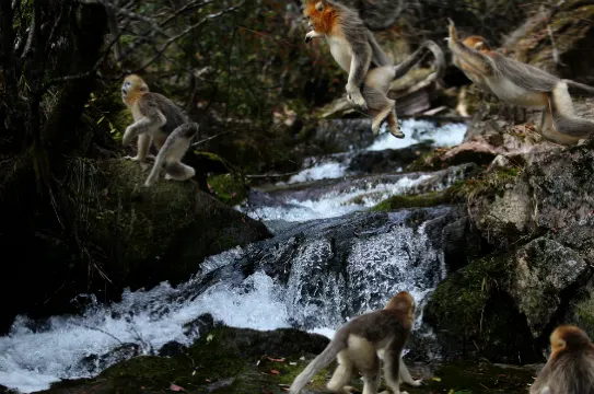 神農架自然保護區
