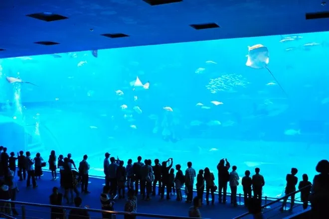 海洋博公園
