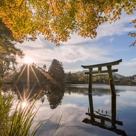 九州の秋 6天賞楓溫泉之旅 賞紅葉名所(九重夢吊橋、夢幻湖泊~金鱗湖、「米芝蓮景點推介」太宰府～天滿宮)、御船山樂園紅葉祭/ 武雄温泉樓門、1天自由活動