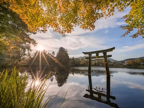 九州の秋 6天賞楓溫泉之旅 賞紅葉名所(九重夢吊橋、夢幻湖泊~金鱗湖、「米芝蓮景點推介」太宰府~天滿宮)、御船山樂園紅葉祭/ 武雄温泉樓門、1天自由活動 九州の秋 6天賞楓溫泉之旅 賞紅葉名所(九重夢吊橋、夢幻湖泊~金鱗湖、「米芝蓮景點推介」太宰府~天滿宮)、御船山樂園紅葉祭/ 武雄温泉樓門、1天自由活動