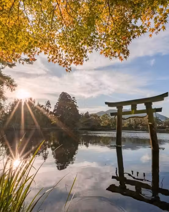 九州の秋 6天賞楓溫泉之旅 賞紅葉名所(九重夢吊橋、夢幻湖泊~金鱗湖、「米芝蓮景點推介」太宰府~天滿宮)、御船山樂園紅葉祭/ 武雄温泉樓門、1天自由活動