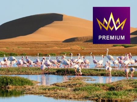 皇后郵輪~安妮皇后號 英國、葡萄牙、西班牙、維德角共和國、納米西亞、南非(開普頓、伊麗莎白港、德本)、留尼旺島(法屬)、毛里裘斯、斯里蘭卡、馬來西亞、新加坡、香港50天豪華郵輪假期【優遊緻選】