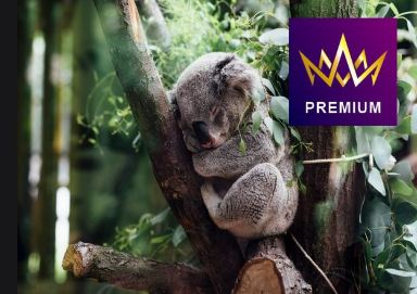 公主郵輪~尋夢公主號 澳洲 (悉尼)、新西蘭 (陶朗加、奧克蘭、皮克頓、基督城、但尼丁、冰川峽灣國家公園)  16天豪華郵輪假期【優遊緻選】