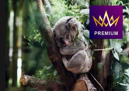 公主郵輪~尋夢公主號 澳洲 (悉尼)、新西蘭 (陶朗加、奧克蘭、皮克頓、基督城、但尼丁、冰川峽灣國家公園)  16天豪華郵輪假期【優遊緻選】