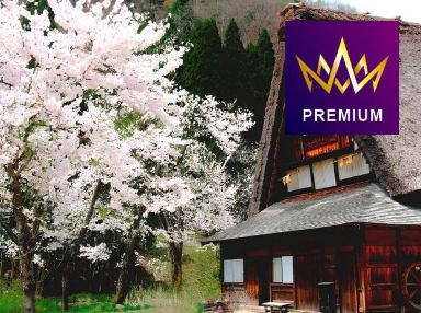 公主郵輪~鑽石公主號 《春日櫻花限定》 日本(東京、橫濱、長崎、境港、舞鶴、金澤、酒田、函館、宮古港、日立)、韓國(釜山) 13天豪華郵輪假期【優遊緻選】