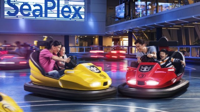 碰碰車與運動場
