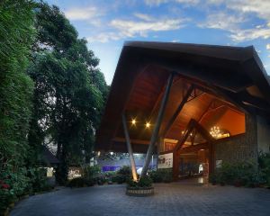 香港-提魯瓦南薩普拉姆自由行 阿聯酋阿提哈德航空+烏代套房酒店 - 機場酒店