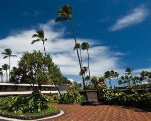 香港-卡胡盧伊自由行 美國聯合航空公司+毛伊島海濱酒店
