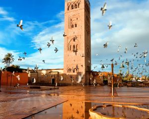 香港-馬拉喀什自由行 法國航空公司+伊波羅之星俱樂部帕莫瑞馬拉喀什酒店