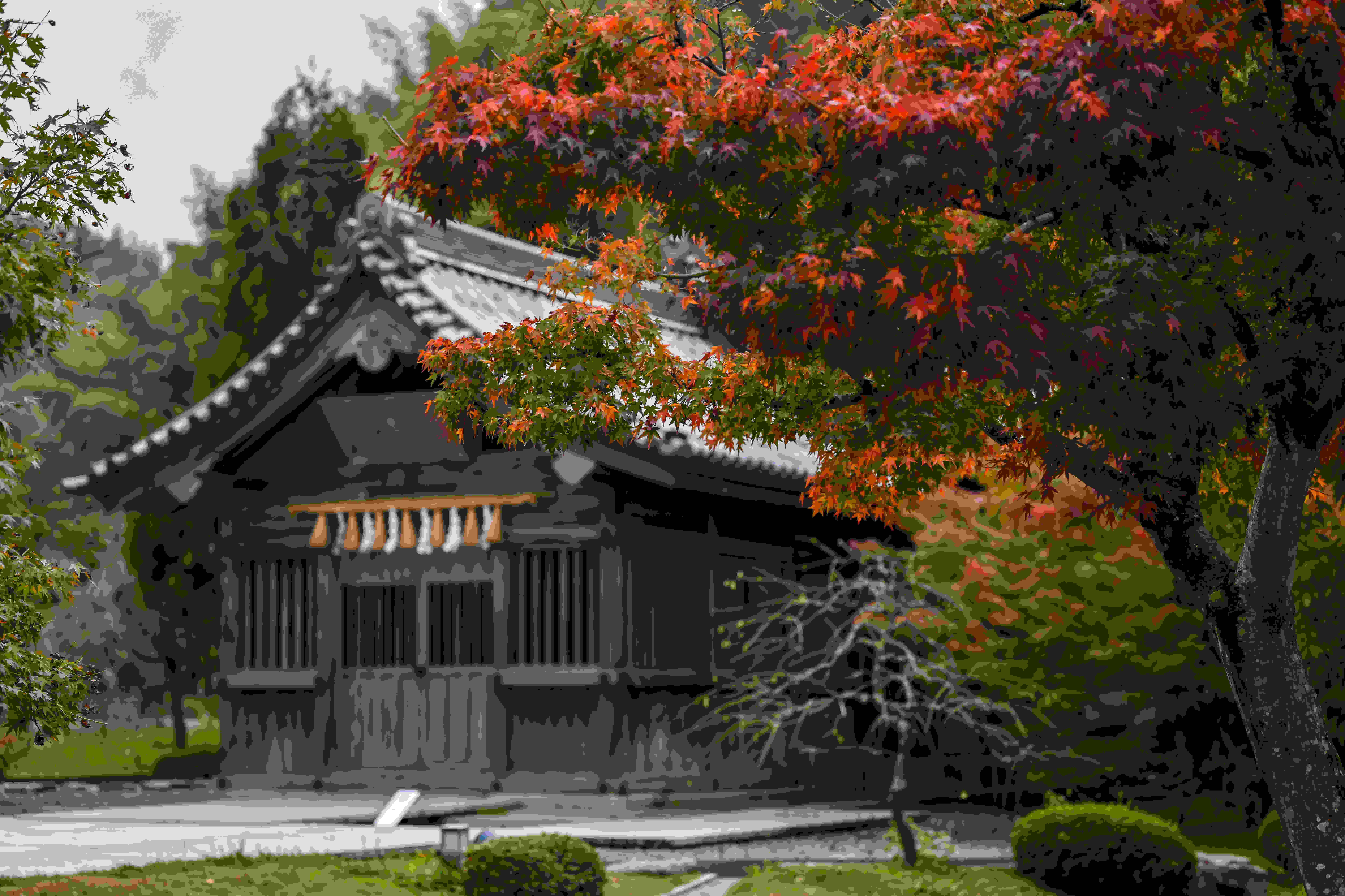 太宰府天滿宮歷史悠久，參道兩旁有梅枝餅等名產，適合親子文化體驗