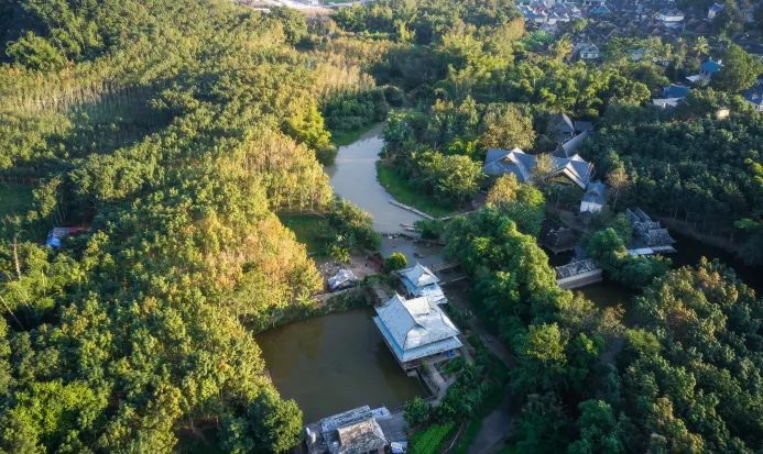 西雙版納野象谷景區 西雙版納野象谷景區