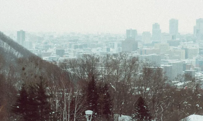 旭山紀念公園雪景 旭山紀念公園雪景