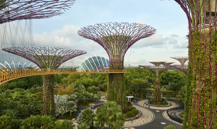 濱海灣花園的擎天樹叢是新加坡地標 濱海灣花園的擎天樹叢是新加坡地標
